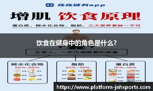 饮食在健身中的角色是什么？